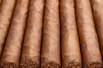 Several Cigars Displayed | Premium Tobacco, Luxury Lifestyle, Classic Cigars, Smoky Ambiance, Hand-Rolled Craftsmanship