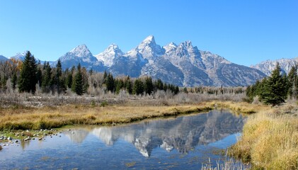 Fall in Grand Teton National Park