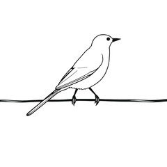 a black and white line drawing of a bird perched on a wire.