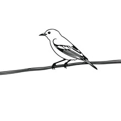 a black and white line drawing of a bird perched on a wire.