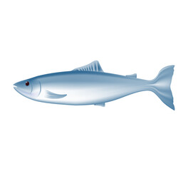 Salmon fish, seafood, 3D. Seafood salmon or tuna fish in 3D style, sea life. Salmon fish isolated on white background. Vector Illustration