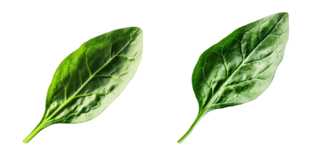 Fresh green spinach leaves isolated on white background healthy eating and dieting food concept vegan and vegetarian food spinach salad ingredient macro photo high quality image healthy lifestyle