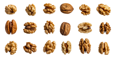 Walnut kernels isolated on white background healthy organic food ingredient collection set from different angles shelled and whole walnuts close up view for packaging design or recipe book
