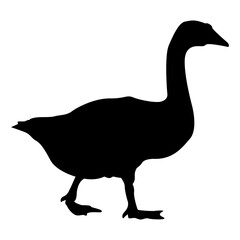 Monochrome Silhouette of Swan, Duck, and Bird from Side View, Simple Black and White Vector Illustration, Isolated on White Background, Editable and Scalable EPS for Graphic Design Use