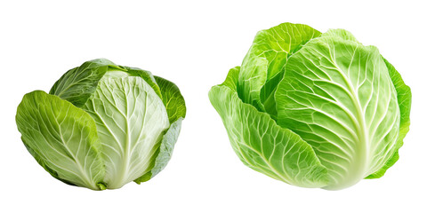 Fototapeta premium Fresh Green Cabbage Vegetable Isolated on White Background Healthy Food Organic Farm Fresh Produce Vegetarian Diet Ingredient Raw Green Cabbage Heads Healthy Eating Concept Whole Cabbages