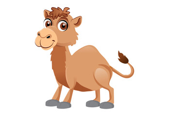 
animal images