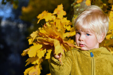 Fototapeta premium Portrait of little boy over yellow marple leaf background