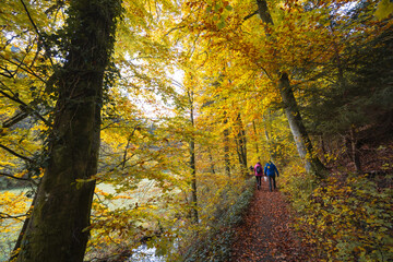 Herbst in Erlangen