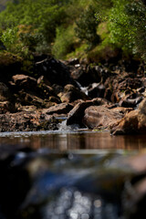 Scenic image of rocky river. Incredible nature landscape. 