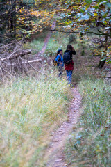Naklejka premium Herbst in Erlangen