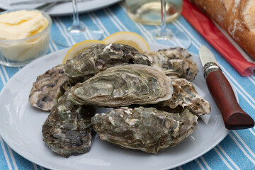 Plate with fresh live oysters with citron, bread, butter and white wine served at restaurant in oyster-farming village, Arcachon bay, Gujan-Mestras port, France