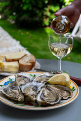 Plate with fresh live oysters with citron, bread, butter and white wine served at restaurant in oyster-farming village, Arcachon bay, Gujan-Mestras port, France