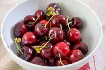 New harvest of fresh ripe dark red cherry berry in Provence, France close up