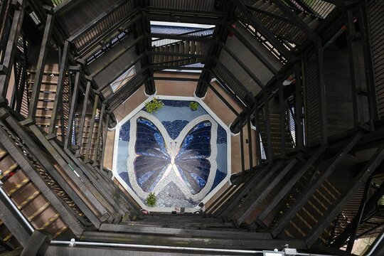 Aerial view of spiral staircase and butterfly mosaic.