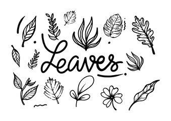set of leaves