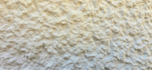 Close-up of a White Textured Wall with Round Protrusions, Texture, Background, Wall, Abstract, texture, background