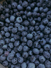 Blueberries