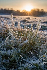 sunrise over a  field, fog, trees, forest, winter, season, ice, frozen grass