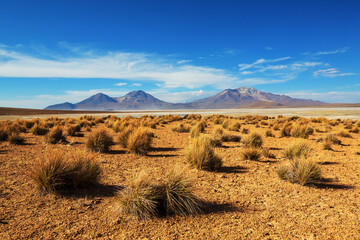 Northern Chile
