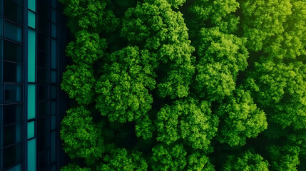 Aerial View of Green Trees and Buildings, aerial photography, drone, drone photography, cityscape, urban