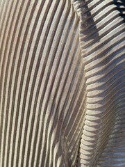 close up of a background