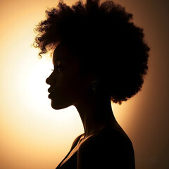 the silhouette of an afro woman with lighting