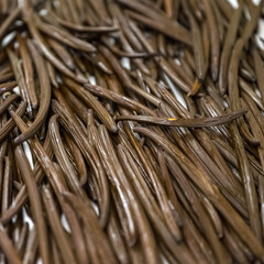 Vanilla in La Reunion in the Indian Ocean, black pods drying 