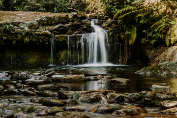 Fototapeta premium Flowing waterfall in Autumn, New Zealand.