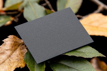 A close up shot of a black business card on a leaf - Business