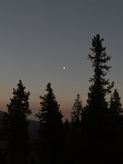 Moonlight Landscape