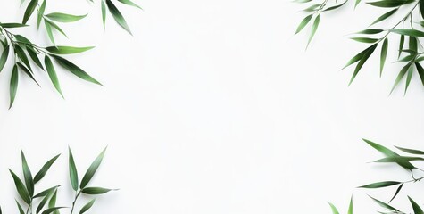 Naklejka premium A minimalistic arrangement of green leaves on a white background.