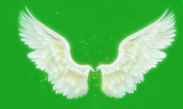 Angel wings animation isolate on green screen background