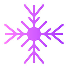 Obraz premium snowflake