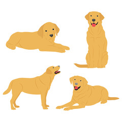 Vector illustration set of labrador retriever dog in cartoon flat style. Dog behavior, body language and face expressions. Cute yellow labrador retriever.
Pet animal