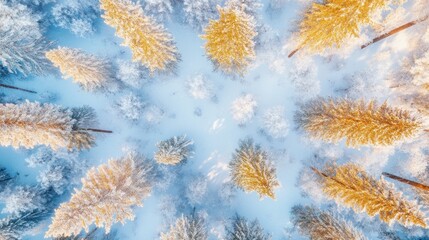 Aerial view of snow-covered trees in winter, showcasing nature's serene beauty.