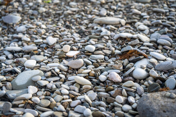 Sea Shore Pebbles Texture, Pebbles Stone, Natural Pebbles Stone