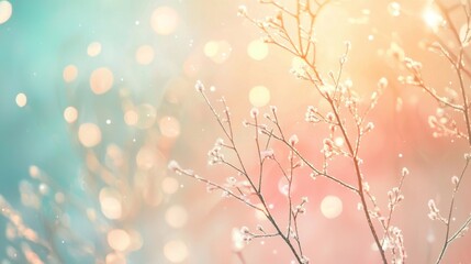 Fototapeta premium Sunlight is shining through frozen branches covered in snowflakes during a beautiful sunset with bokeh effect in a magical winter wonderland