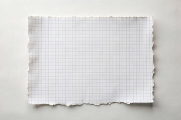 Crisp and Clean White Block Pages with Torn Ripped Edges on Grid Paper for Creative Product Photography