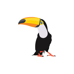Naklejka premium Vector illustration of toucan bird in cartoon flat style. Single colorful tropical bird wildlife animal. Pet Ramphastos toco isolated for digital resources, icon, logo, etc