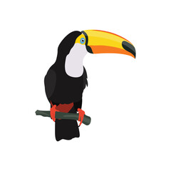 Vector illustration of toucan bird in cartoon flat style. Single colorful tropical bird wildlife animal. Pet Ramphastos toco isolated for digital resources, icon, logo, etc © Kidung Paripurna