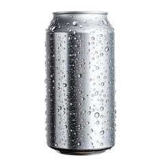 stainless steel can