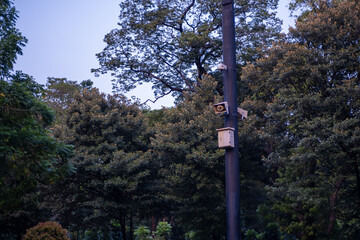 Speaker outdoor among green trees in the public garden