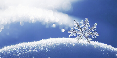 雪の結晶が織りなす、冬の神秘