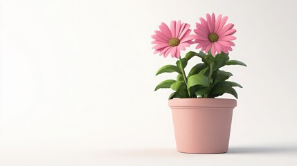 Fototapeta premium plant in a vase