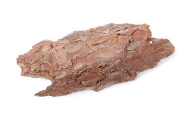 One piece of tree bark on white background, top view