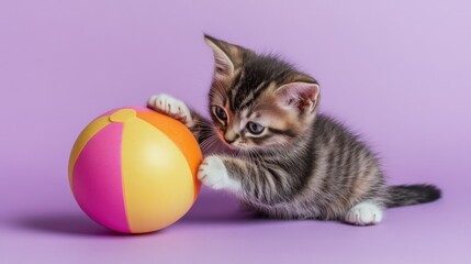 A playful kitten interacts with a colorful beach ball on a pastel background.
