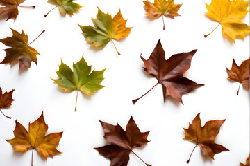 autumn leaves background, red and yellow stars, maple leaves isolated on white