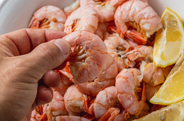 man holding boiled king prawn in his fingers on shrimp background