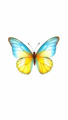 Obraz premium Blue and Yellow Butterfly