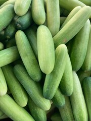 arrangement of cucumbers on the table 